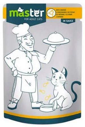 Master Cat wet cat food in pouch, chicken, 80g