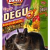 Panzi rodent food, 1000 ml, Degu